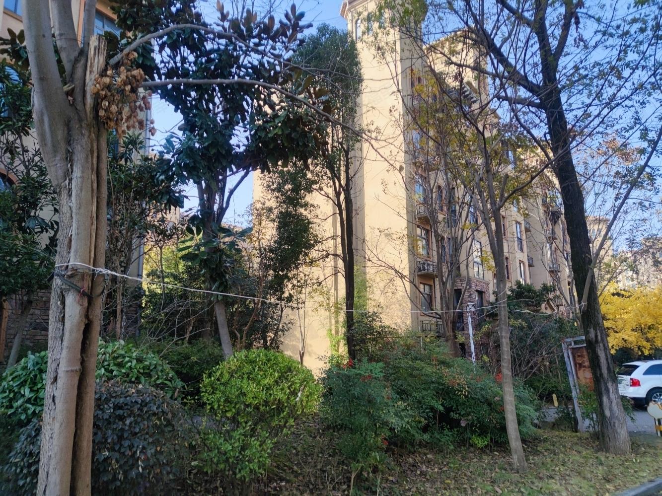 金成翡翠溪谷小区效果图