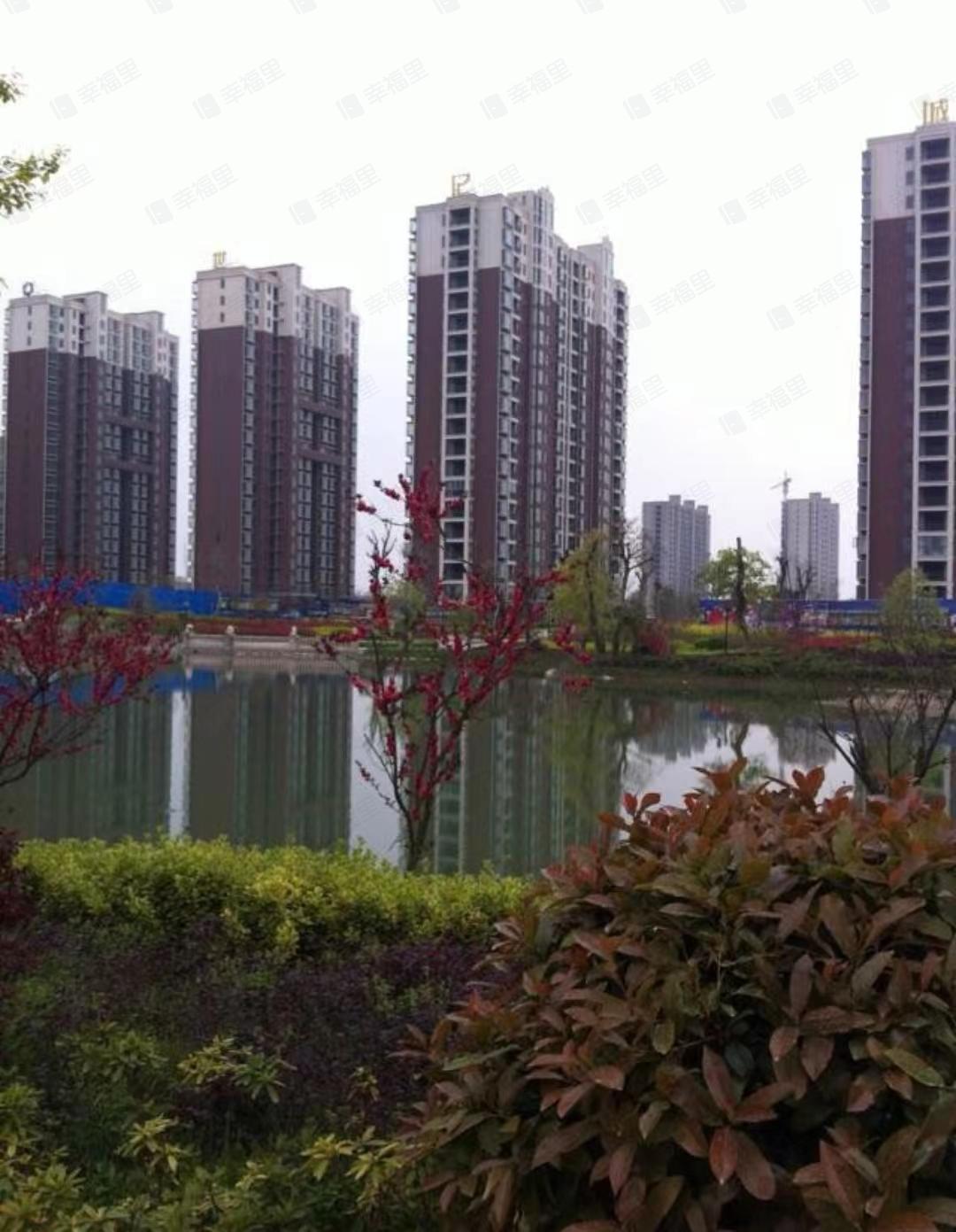 信合世纪城海棠苑小区效果图